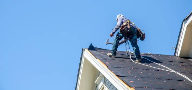 Best Gutter Installation and Roofing  in Grand Point, LA